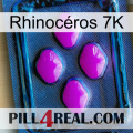 Rhinocéros 7K 04